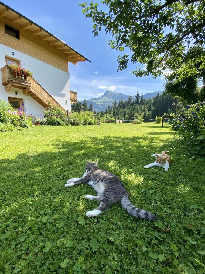 Landhaus Barbara Kitzbuhel Exterior photo